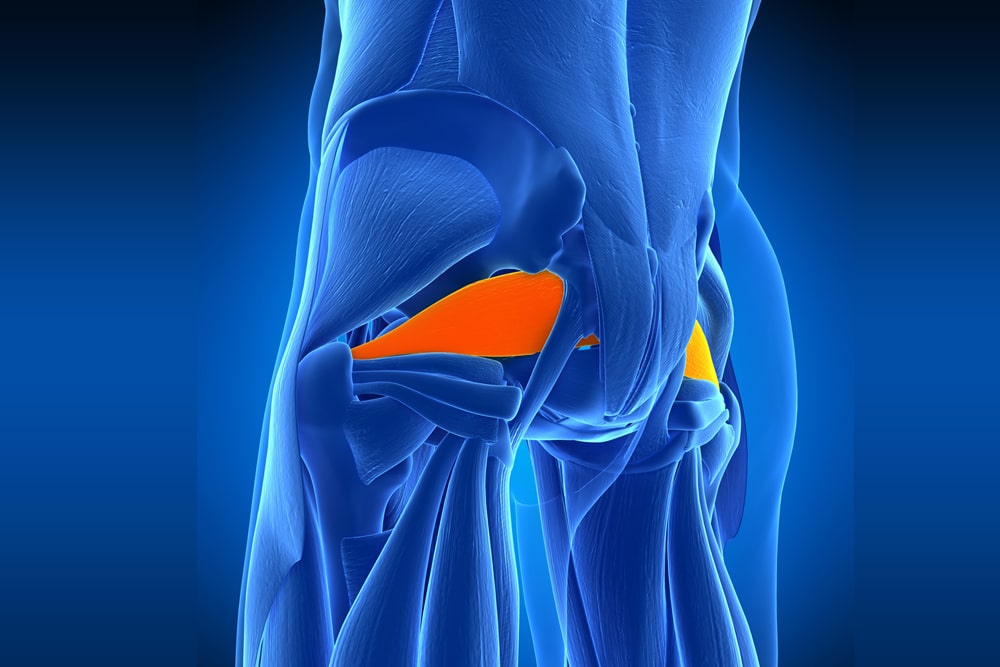 https://ohcmedicine.com/wp-content/uploads/have-you-been-diagnosed-with-piriformis-syndrome.jpg