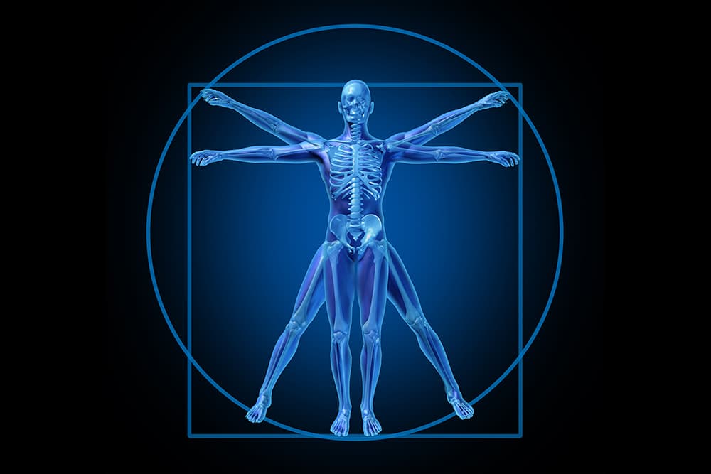 Utilizing Proper Body Mechanics is a Key Factor in Limiting Back Pain ...